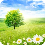 Logo of Nature Wallpapers 4K android Application 